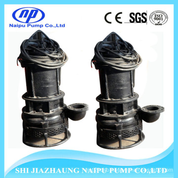 Heavy Duty Submersible Mining Slurry Pump (ZJQ200-25-22)